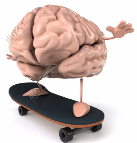 玩滑板的大脑图片