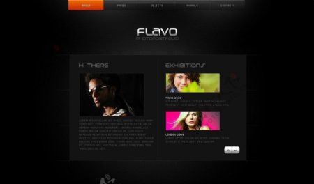 flahs网站设计