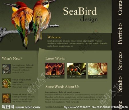 海鸟设计公司