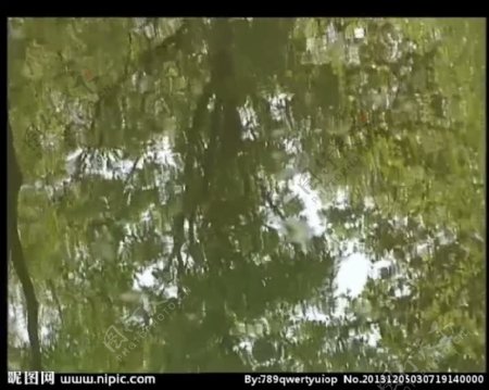 水中倒影视频素材