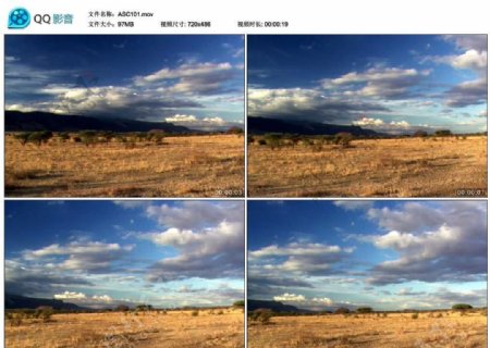非洲草原蓝天风光视频实拍素材