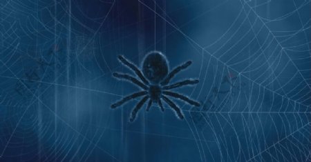 蜘蛛和网背景素材