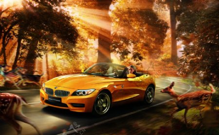 BMWz4烈焰限量版图片