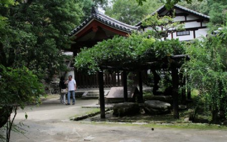 奈良寺庙图片