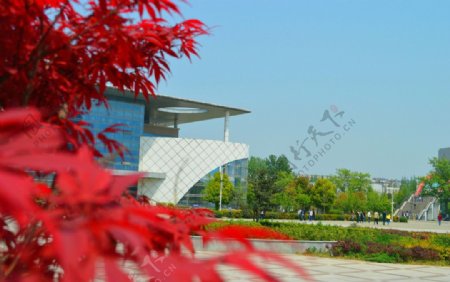 安徽科技学院风景图片