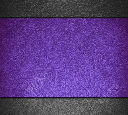 紫色皮革图片