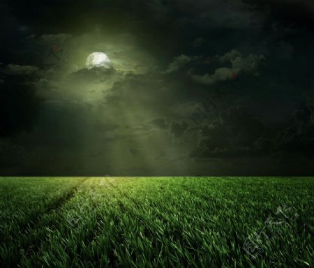 月光草原图片