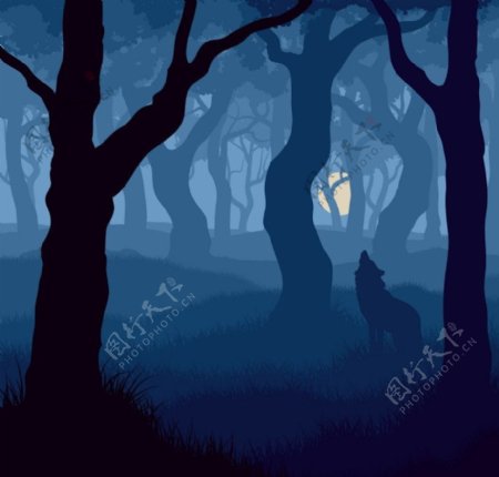 深夜树林狼嚎图片