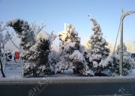 雪景图片