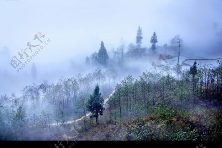 田间雾景图片