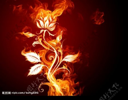 燃烧的植物图片
