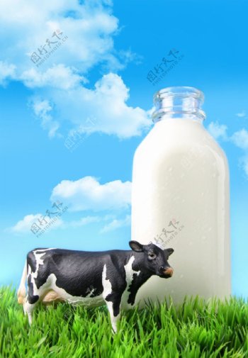 绿色草原营养牛奶图片