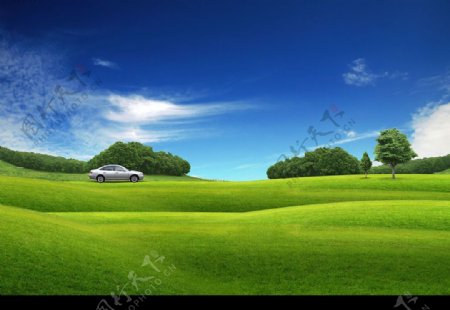 草原上奔驰的汽车图片
