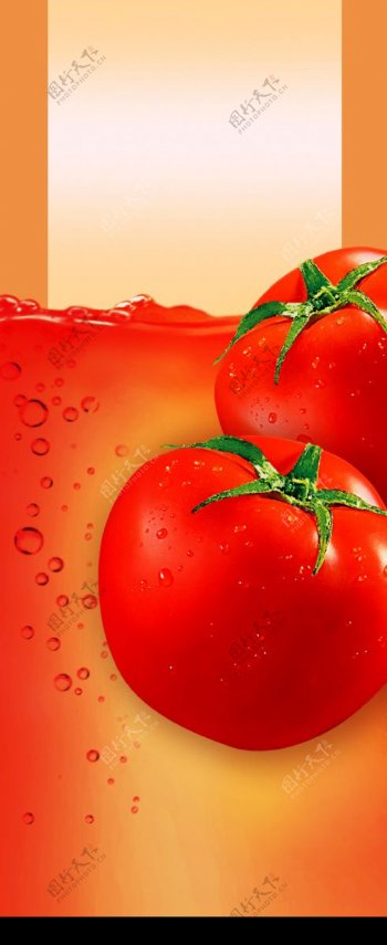 清新的西红柿图片