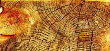 木纹生命的痕迹图片