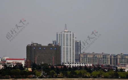 柳堤的高楼图片
