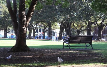 悉尼公园长凳图片