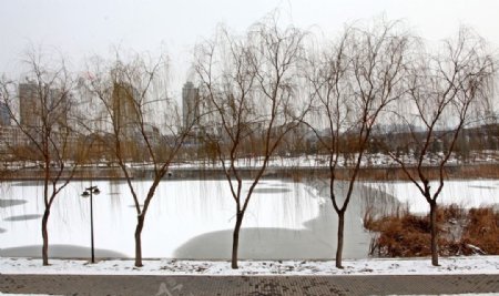 雪中湭河公园图片
