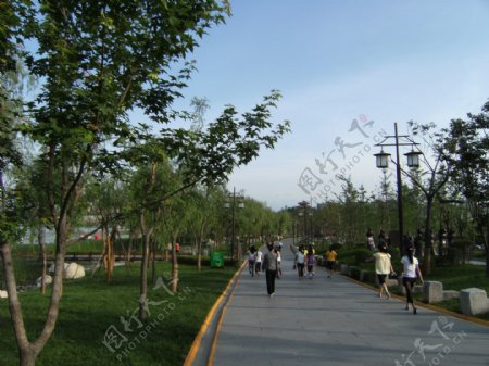 曲江池遗址公园景观大道图片