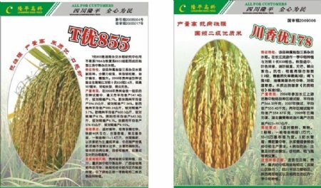 种子产品宣传海报图片