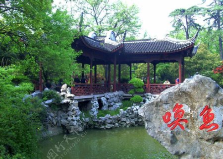 常州东坡公园唤鱼池美景图片