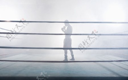 拳击运动图片