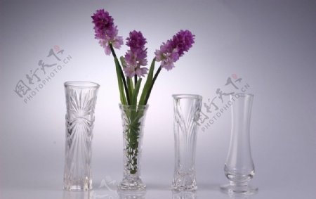 玻璃花瓶图片