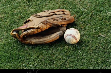 垒球棒球手套图片