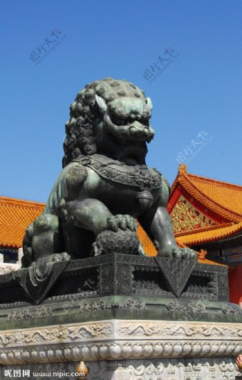 紫禁城铜狮图片