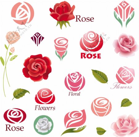 玫瑰标志图片