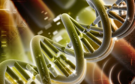 DNA染色体图片
