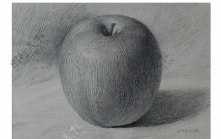 素描苹果图片