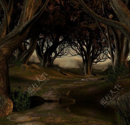 童话森林古树图片