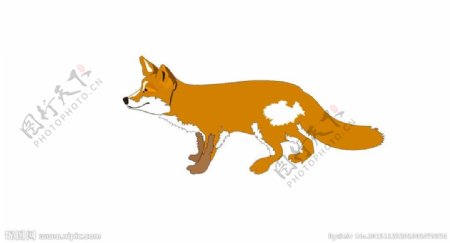 小狐狸矢量图图片