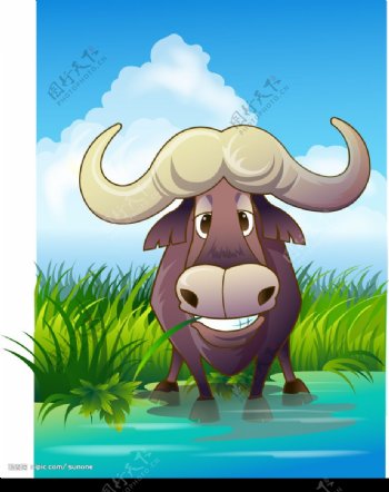 动物插画野牛图片