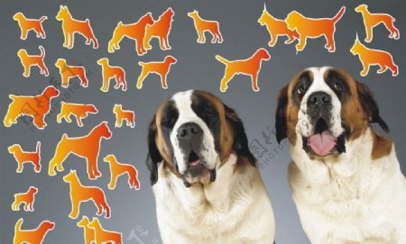世界名狗剪影拓图图片