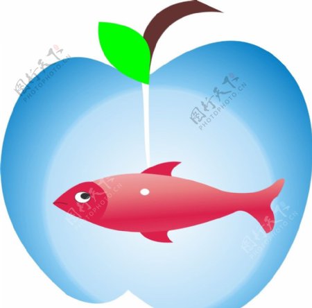 苹果鱼图片
