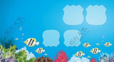 卡通鱼水草海底珊瑚相册模板图片
