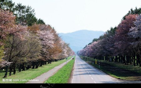 日本北海道旅游风景图片