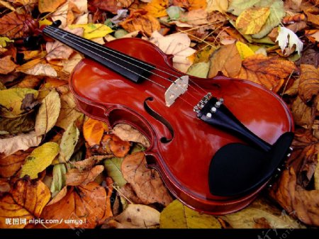 小提琴女人音乐古典音乐图片