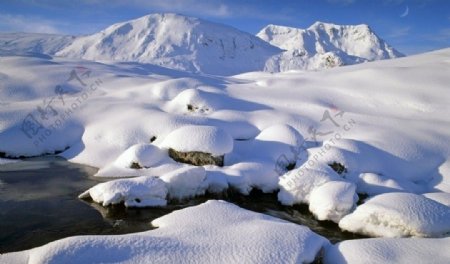 清晨雪景图片