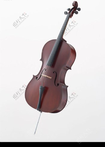 大提琴4图片