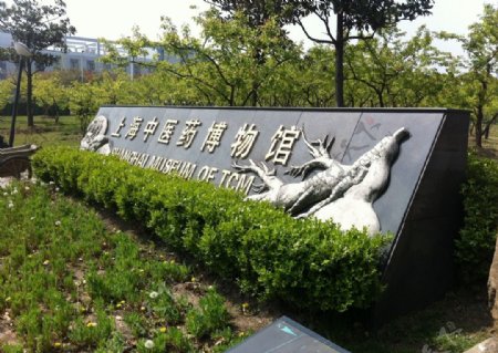 上海中医药博物馆图片