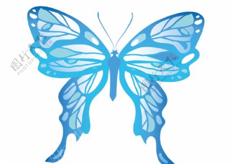 矢量蓝色蝴蝶图片