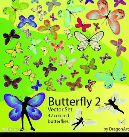 48种蝴蝶图片