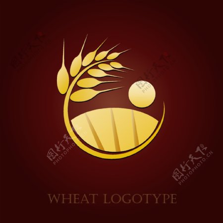 小麦标识图片