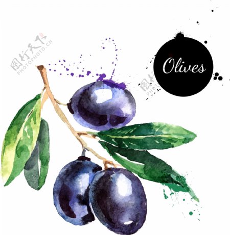 油画水果葡萄插画艺术水果图片
