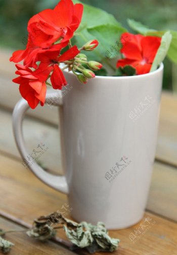 马克杯与红花图片