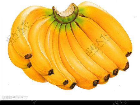 逼真水果之香蕉图片