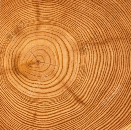 木头木纹图片